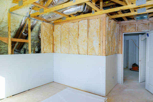 Best Spray Foam Insulation in Blue Springs, MO