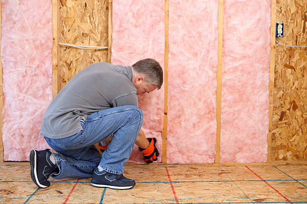 Best Geographic-Specific Insulation Services in Blue Springs, MO