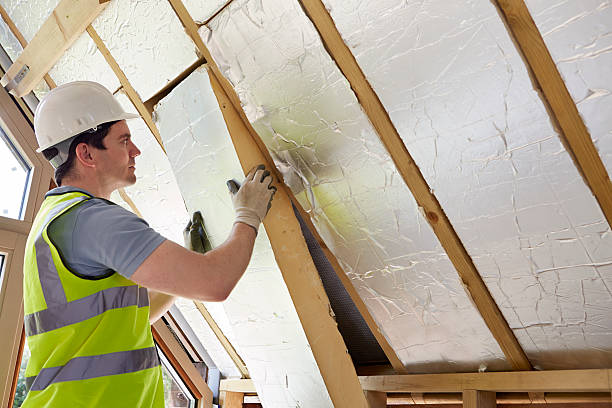 Best DIY Insulation Kits and Guidance in Blue Springs, MO